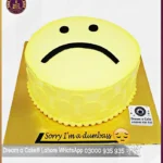 I’ M So Sorry Emoji Cake in Lahore