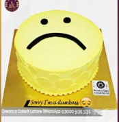 I’ M So Sorry Emoji Cake in Lahore