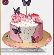 Pink Fault Line Butterflies Cake in Lahore I Dream a Cake