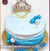DAC 585 2 Dream a Cake