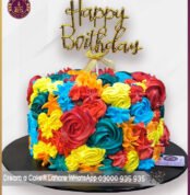 Rainbow pro 2 Dream a Cake
